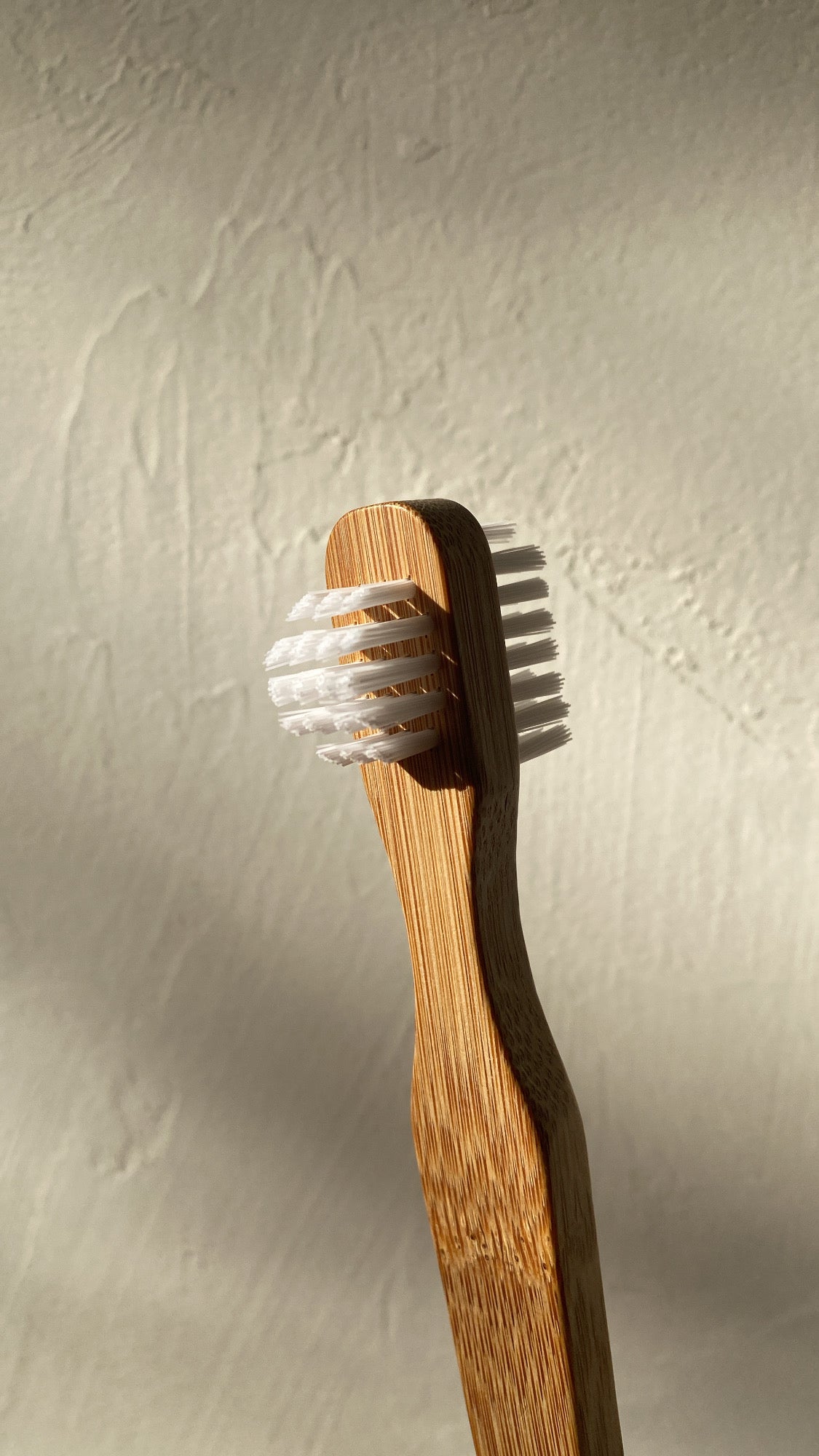 Cleaning Brush