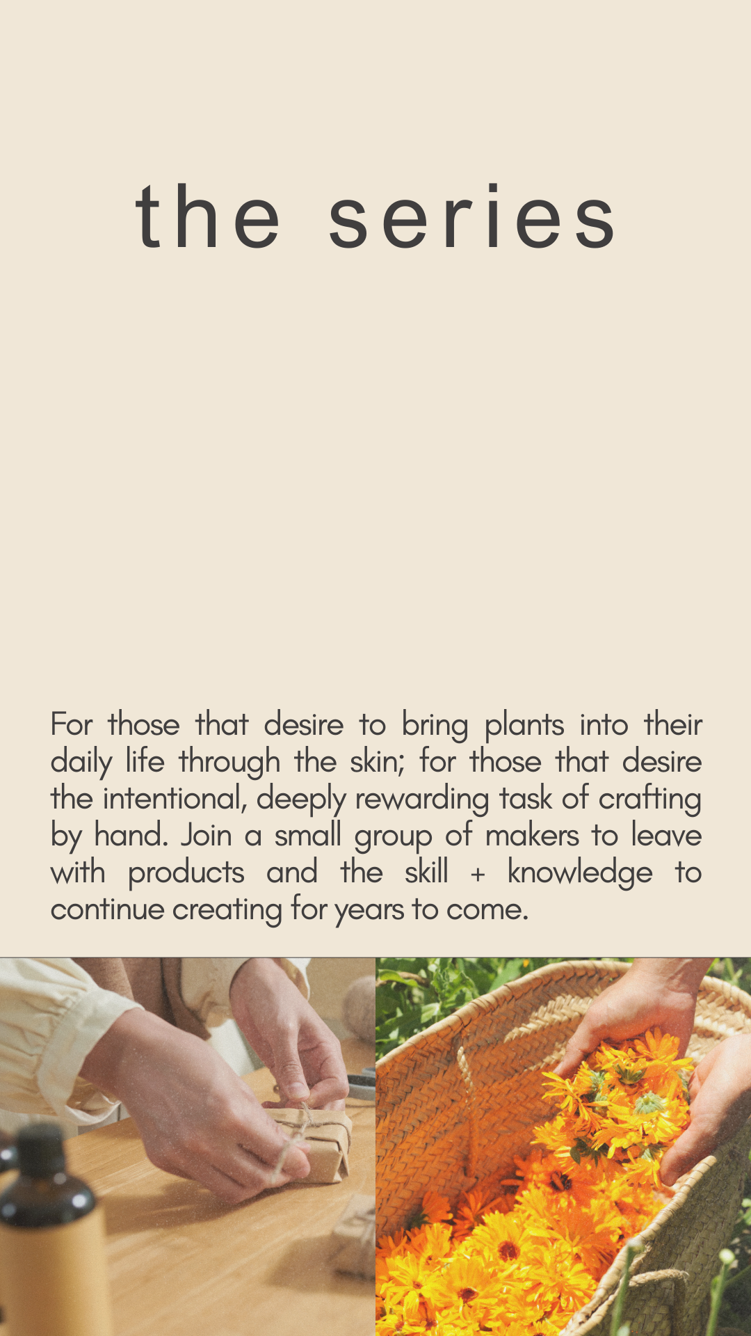 Fall Workshop Series with Honeybee Homestead
