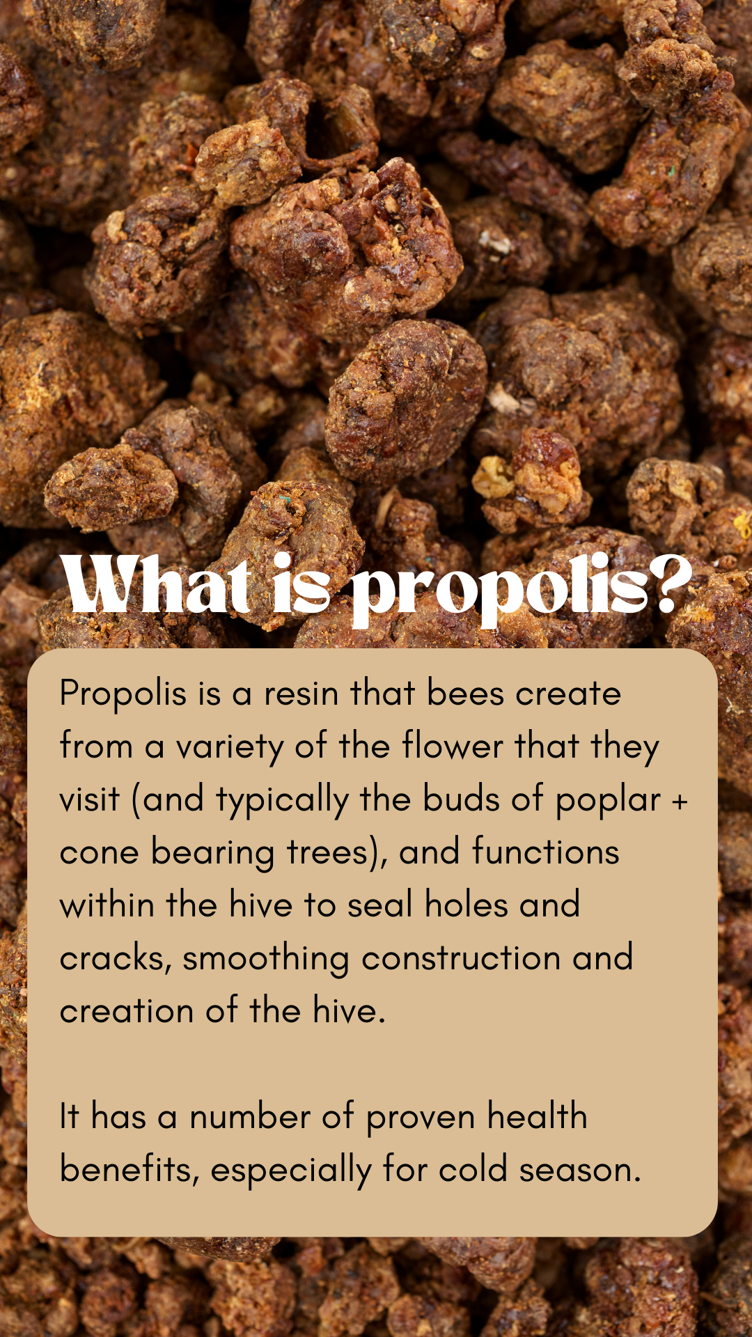 Propolis Cough Syrups | Beekeeper's Naturals