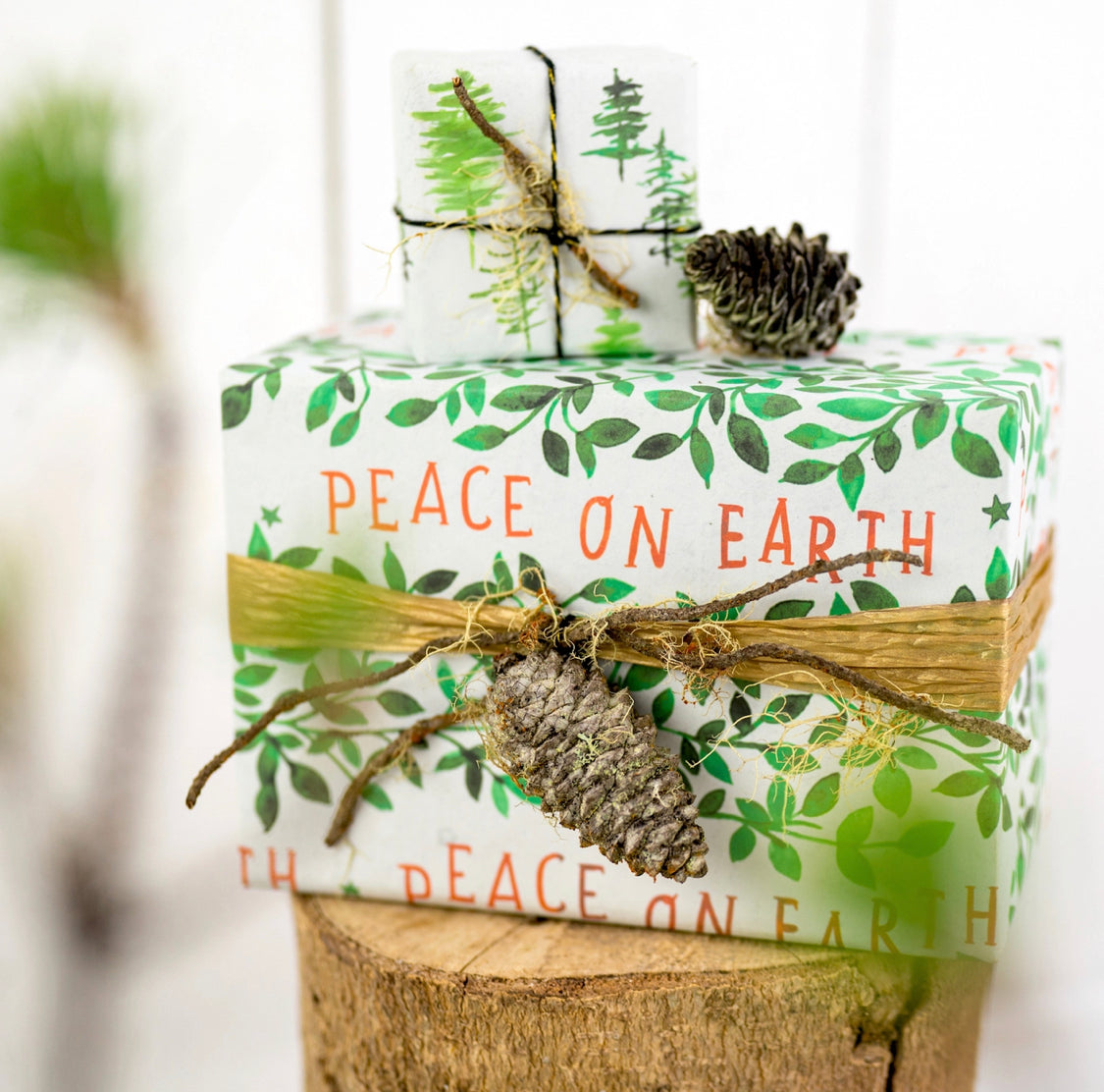 Double-sided Eco Gift Wrap |
