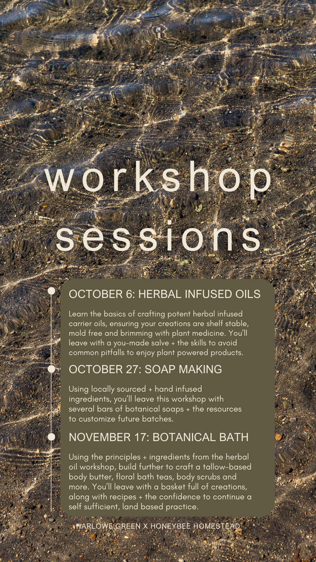 Fall Workshop Series with Honeybee Homestead