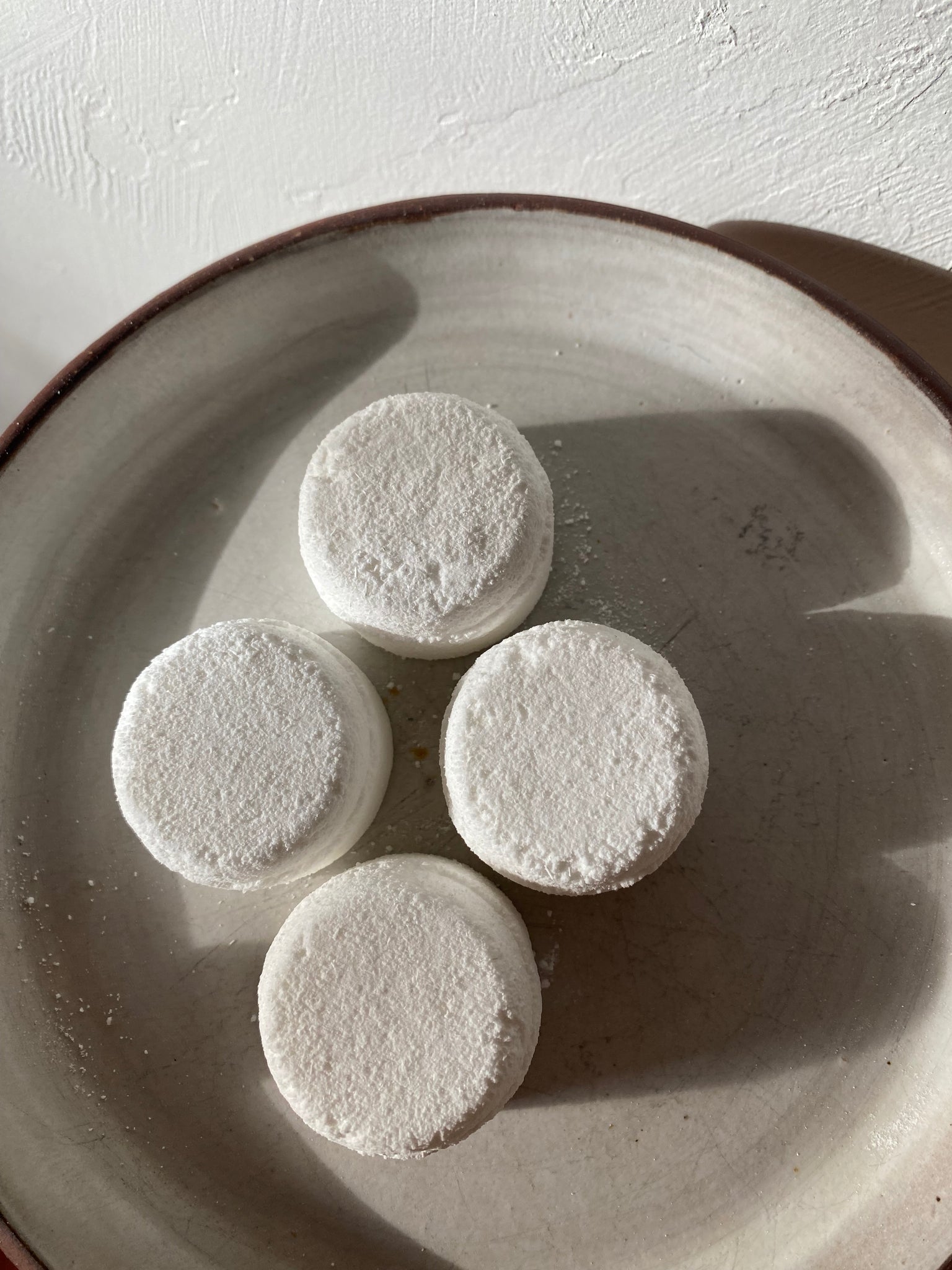 Toilet + Drain Fizzies | package free