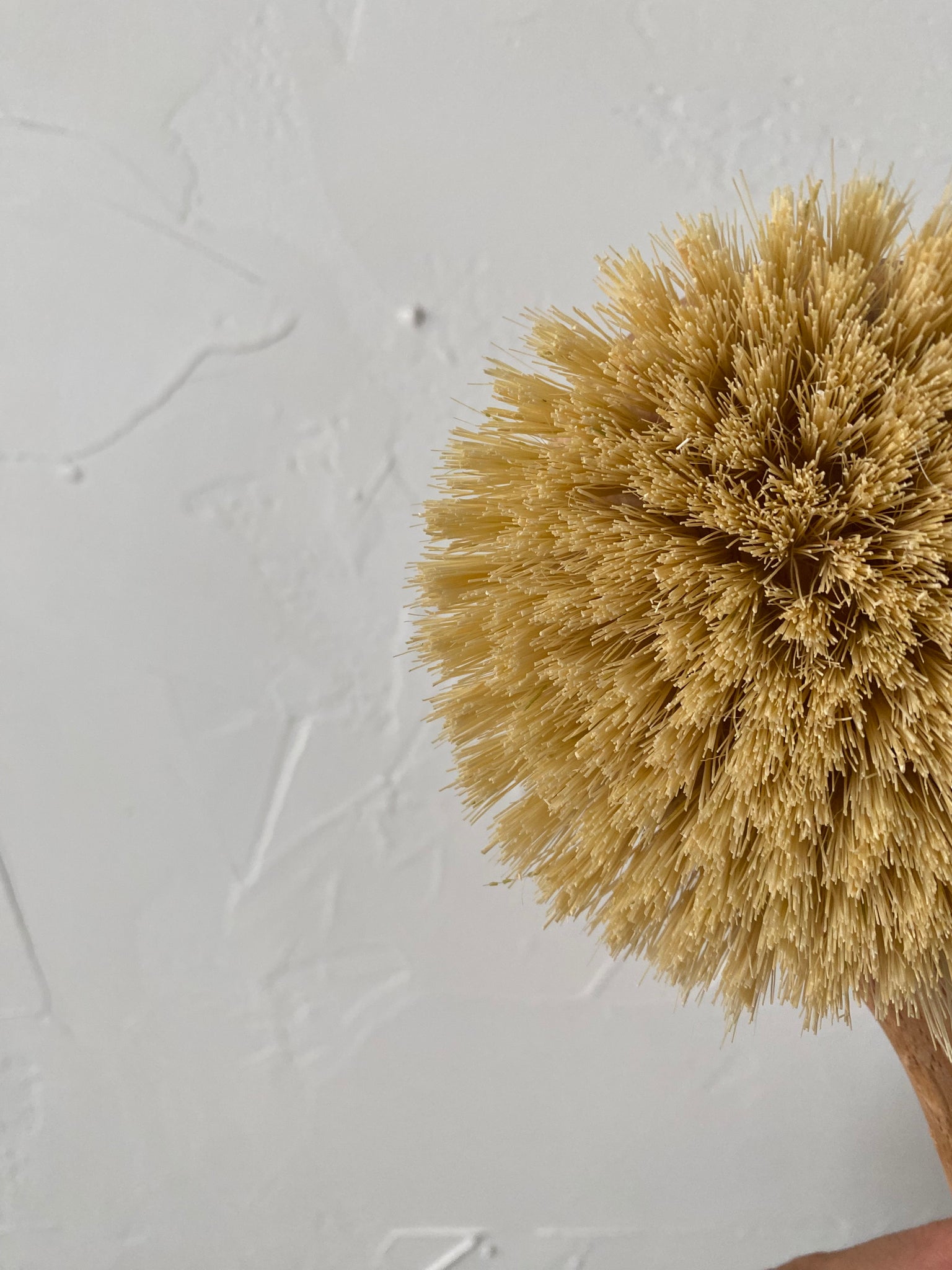 Round Head Bath Brush