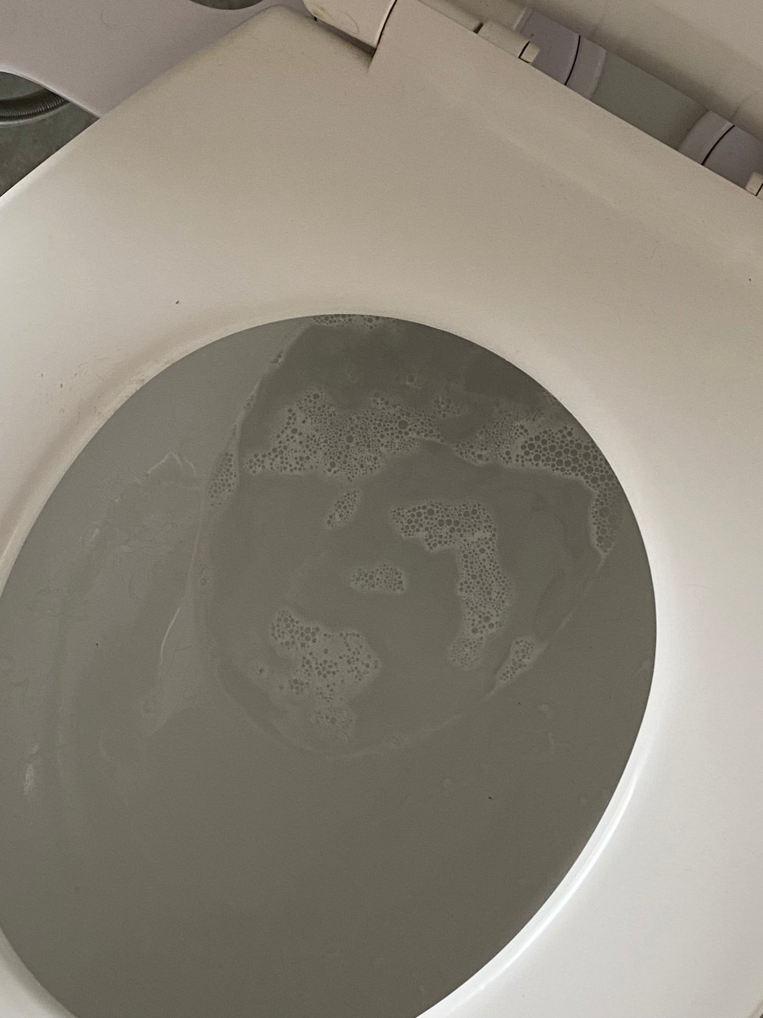 Toilet + Drain Fizzies | package free