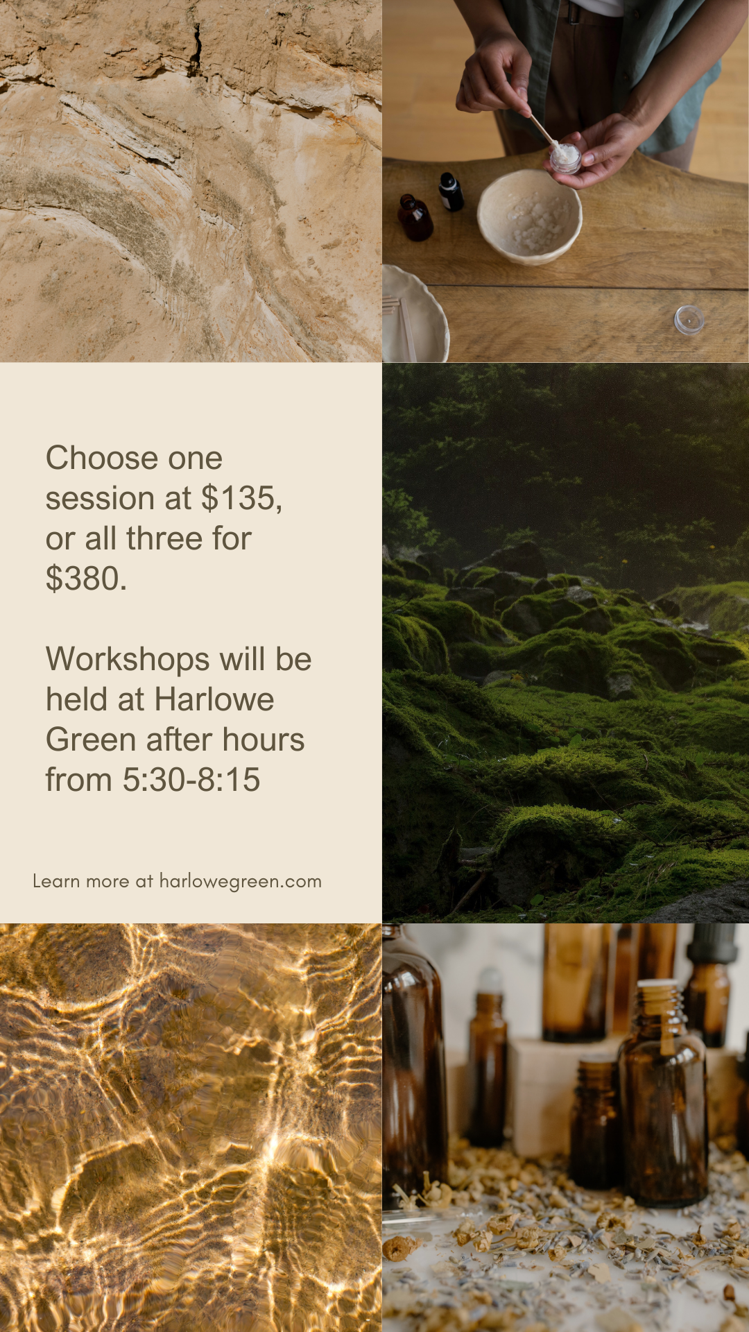 Fall Workshop Series with Honeybee Homestead