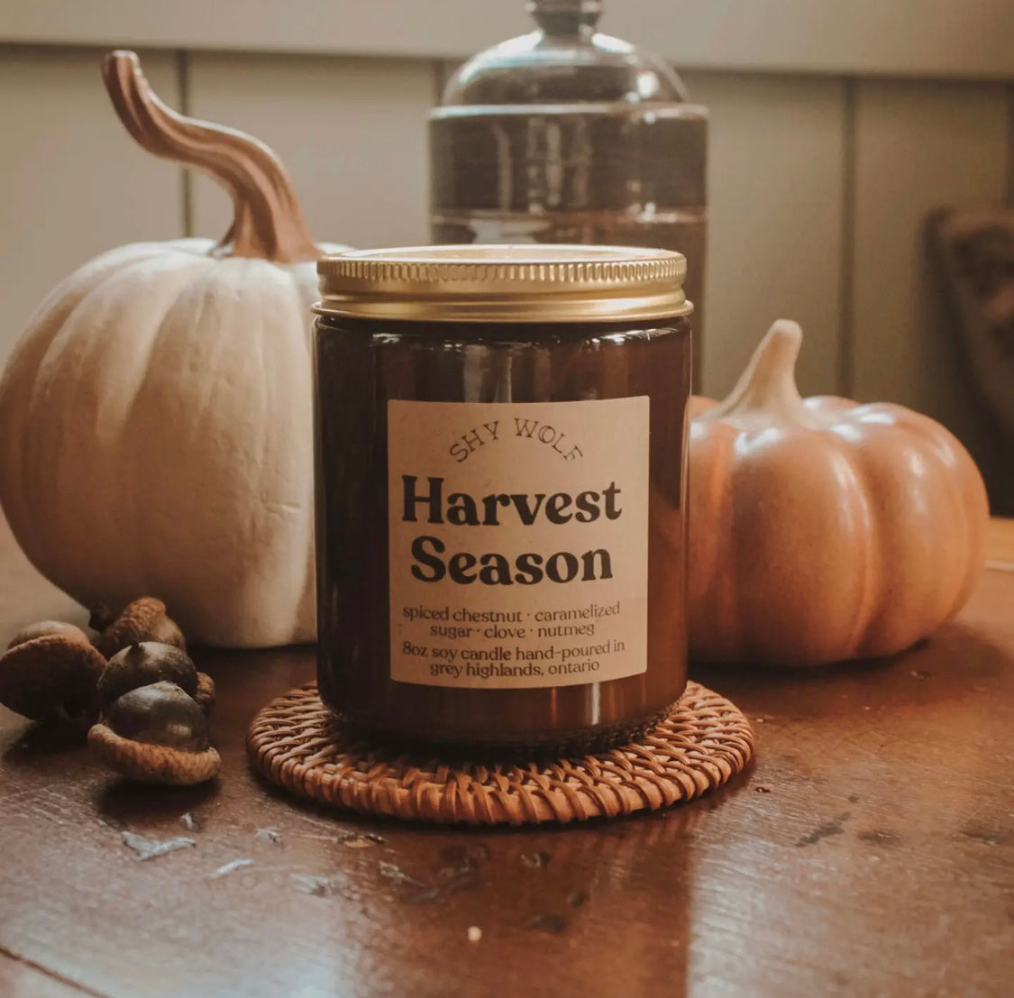 Fall Season Candles | Shy Wolf