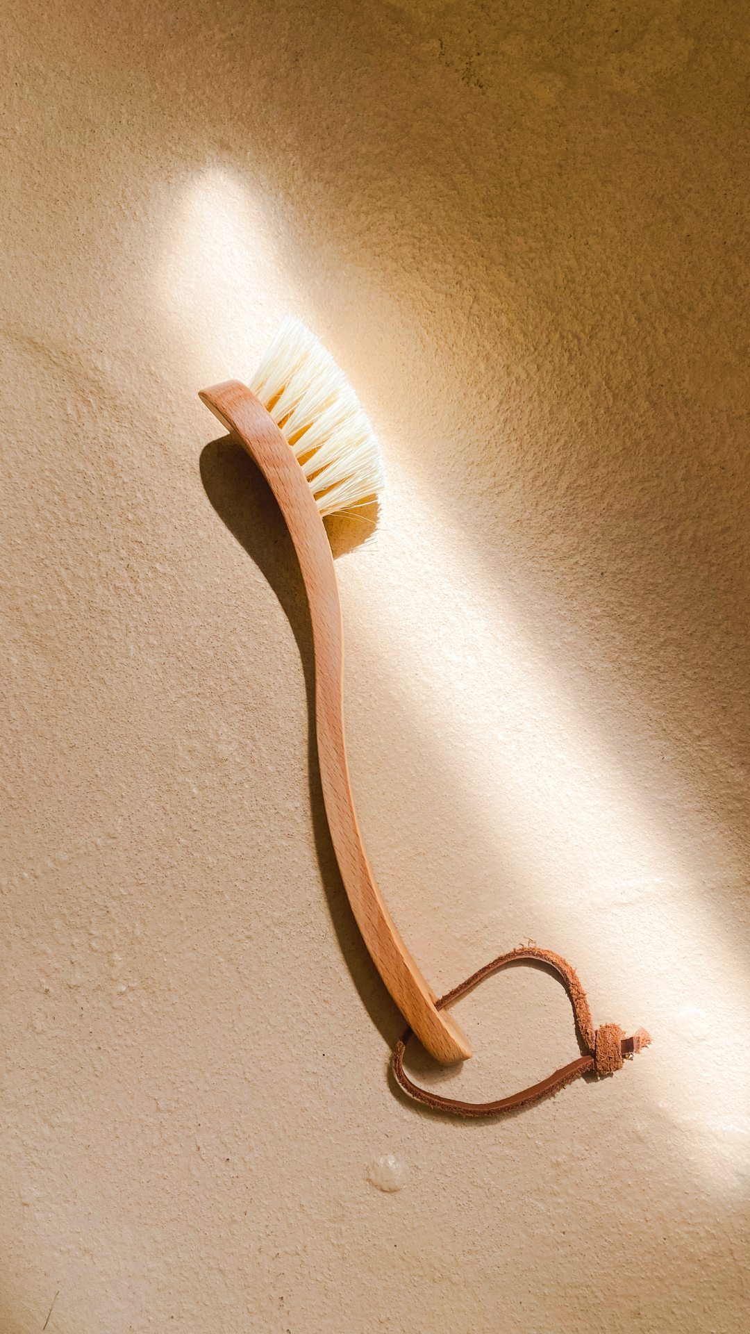 Curved Dish Brush