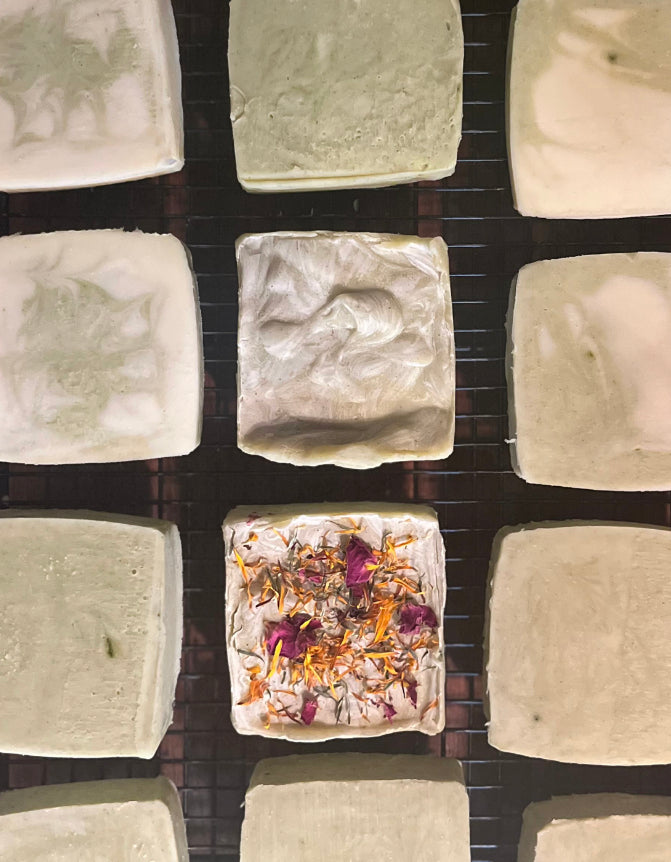 Fall Workshop Series with Honeybee Homestead