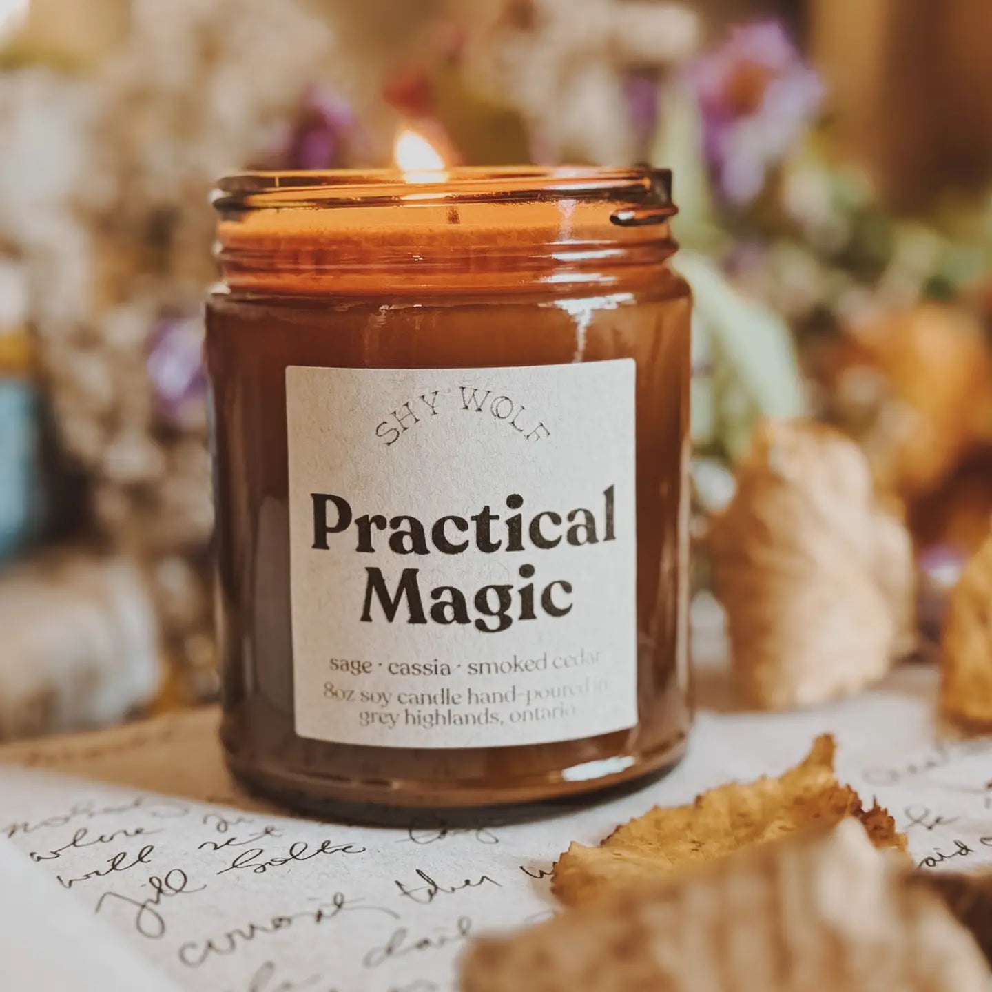 Fall Season Candles | Shy Wolf