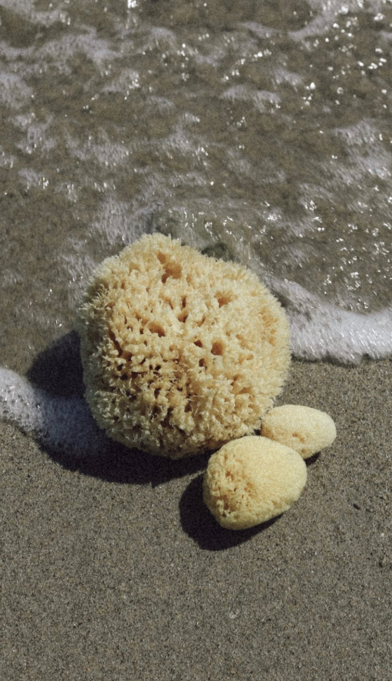 Silk Sea Sponge for Face