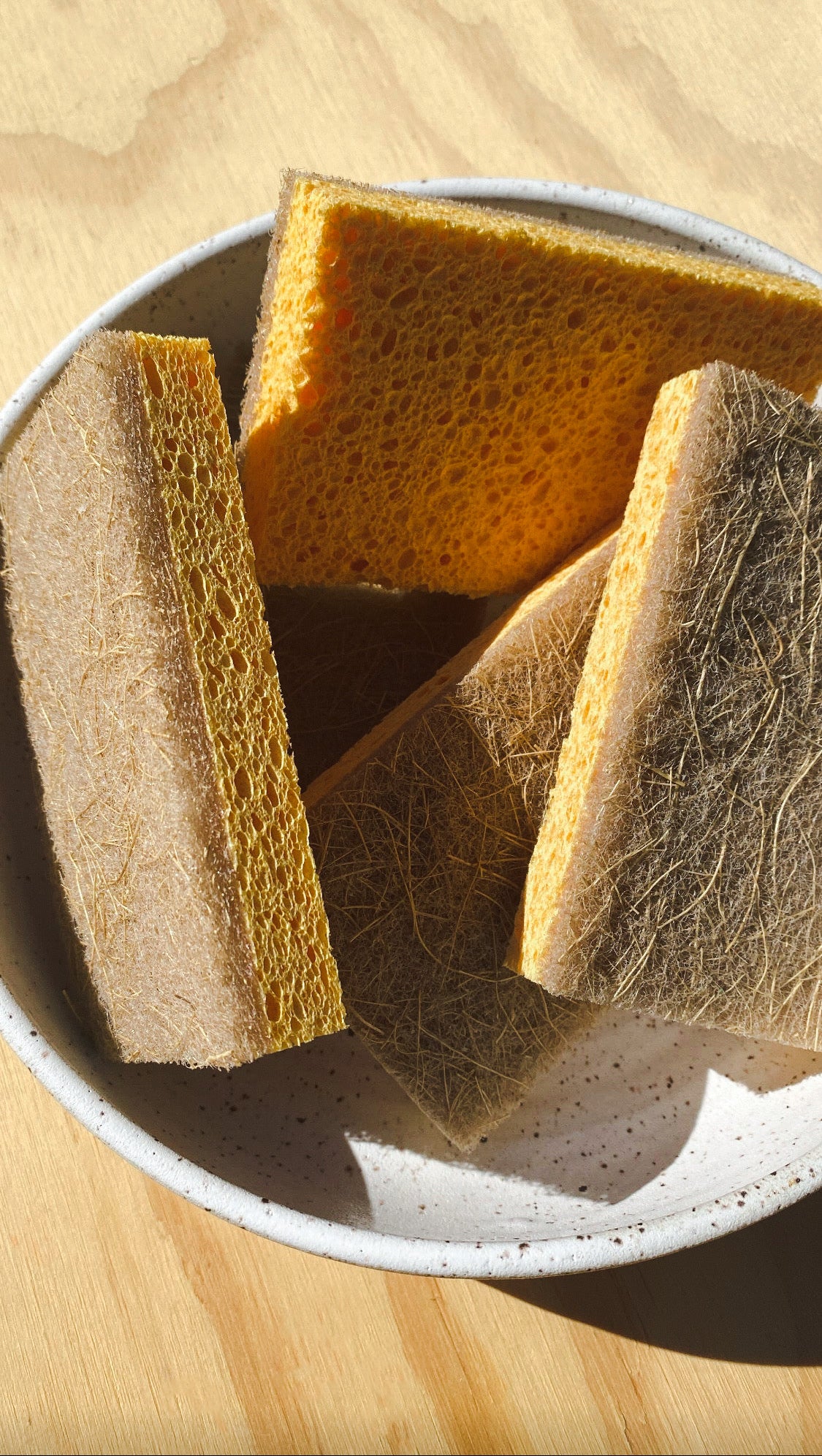 Walnut + Coconut Scrubber Sponges