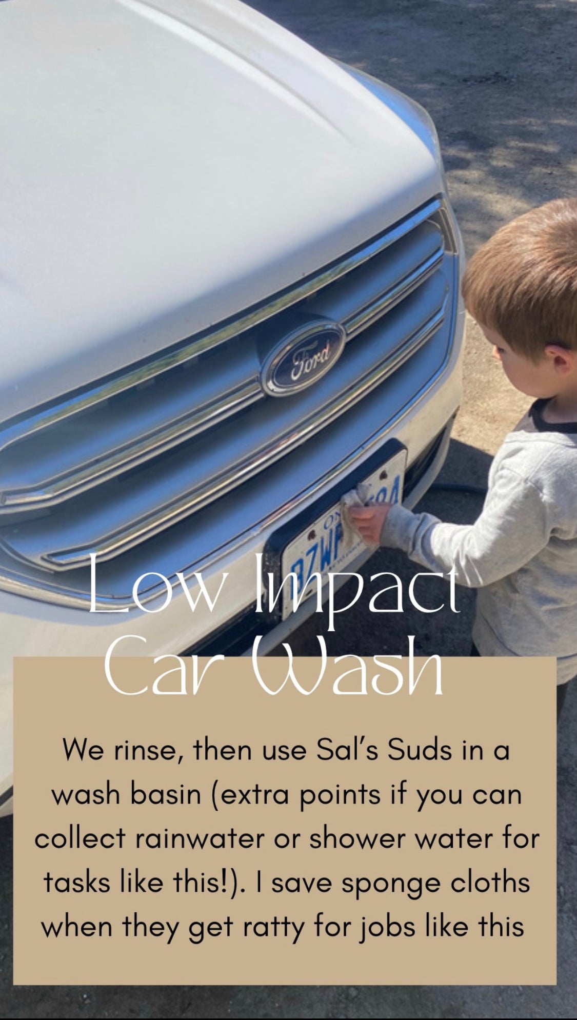 Sal's Suds All Purpose Cleaning Concentrate | options