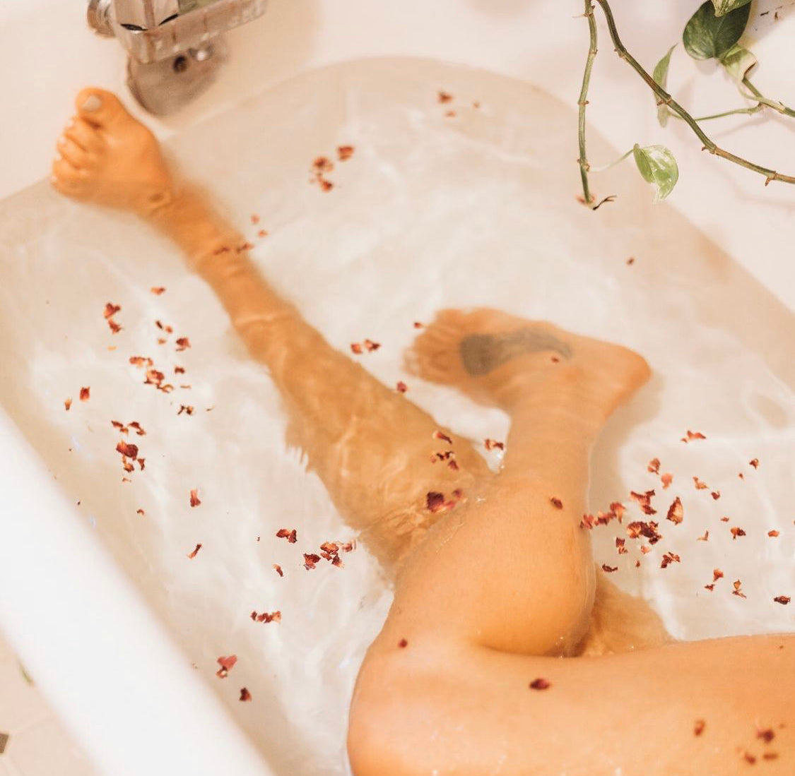CBD Rose Bath Soak or Body Scrub | Non-Intoxicating