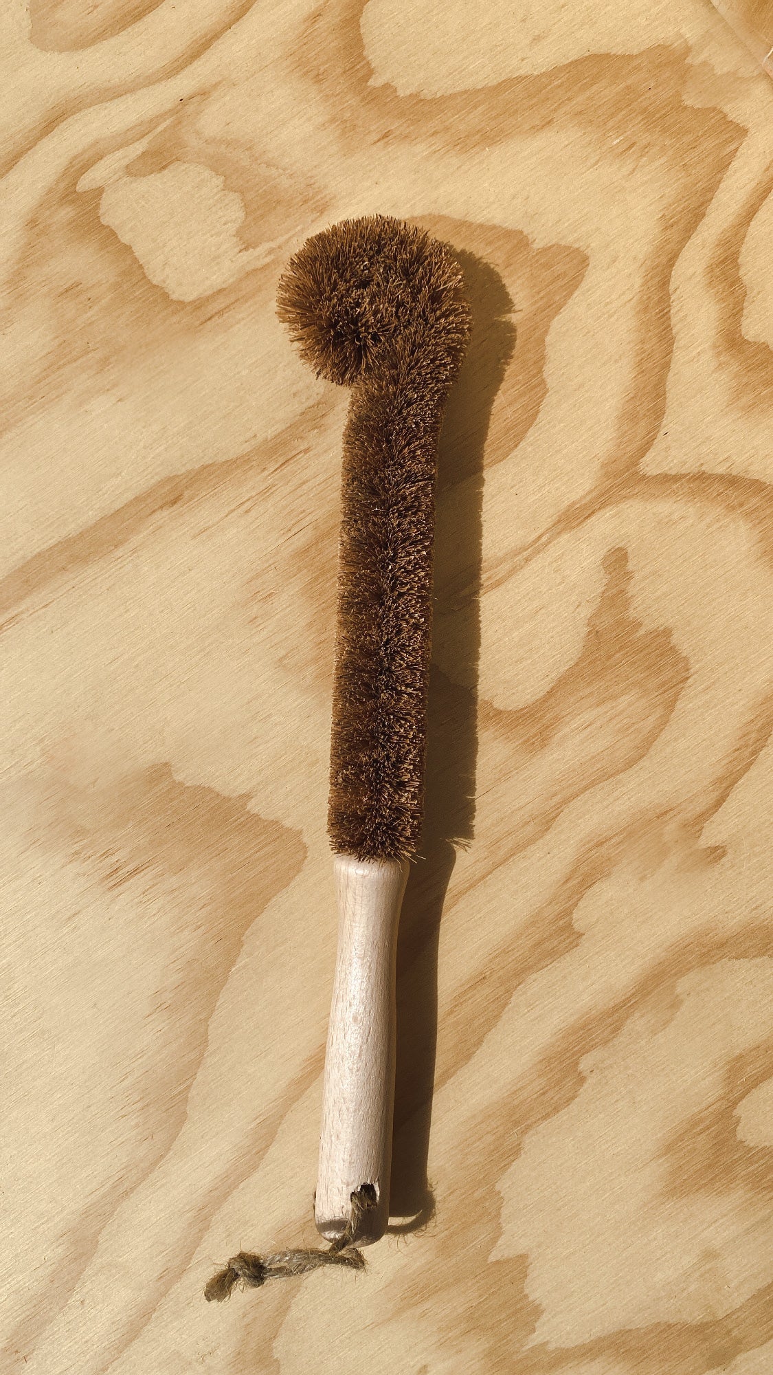 Coconut Bottle Brush